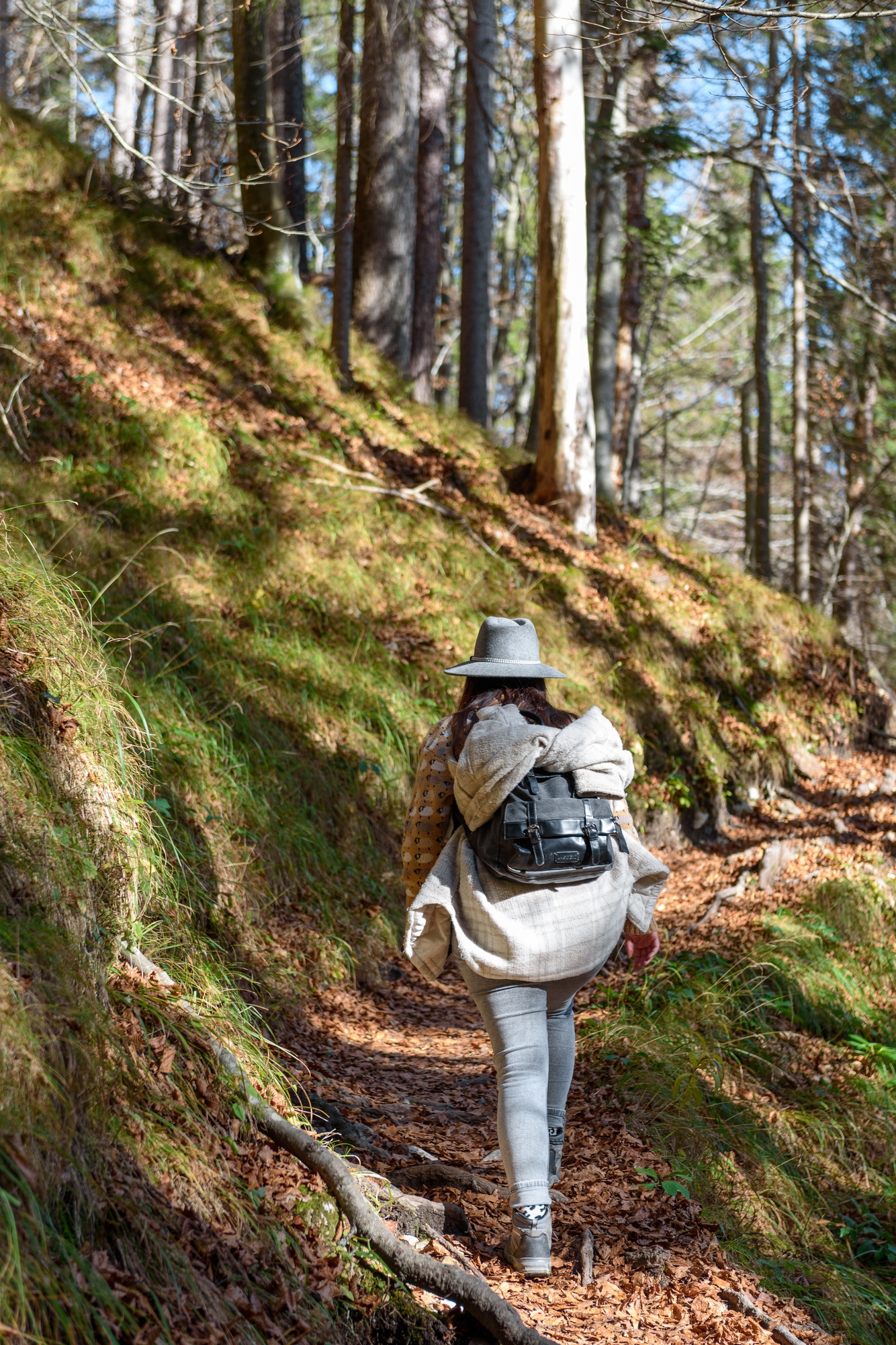 Rear view of girl wearing backpack, hiking in forest in autumn